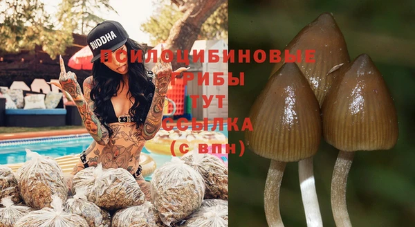 a pvp Горняк