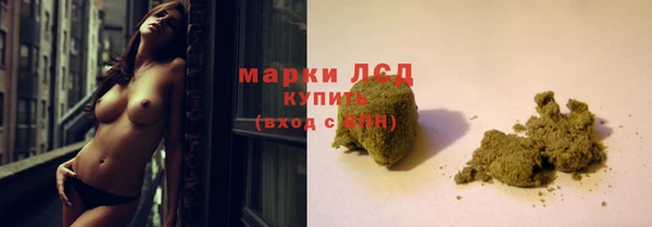 a pvp Горняк